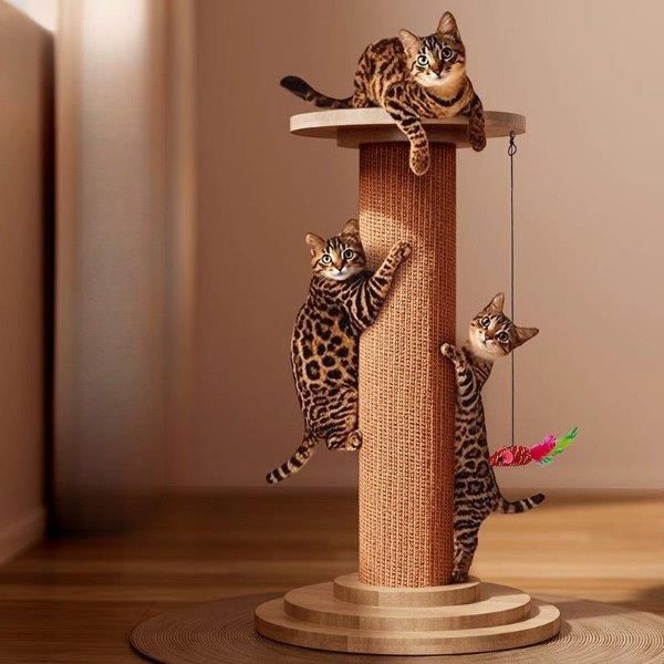 Pet scratcher